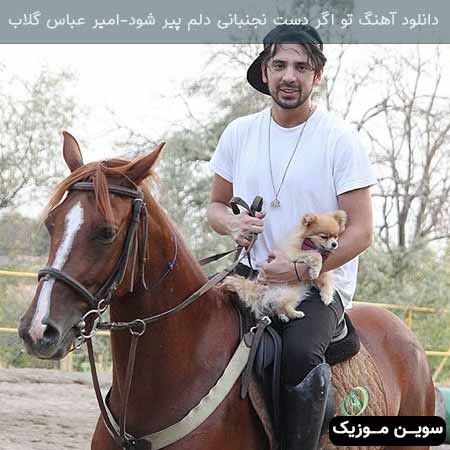 دانلود اهنگ تو اگر دست نجنبانی دلم پیر شود امیر عباس گلاب